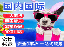 右旗巴丹吉林空运公司国际宠物托运 【国